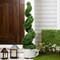 Northlight Real Touch™ Artificial Cedar Spiral Topiary Tree in Black Pot, Unlit - 5'